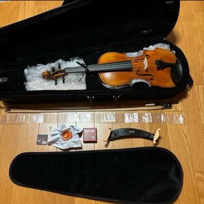 Nicolo Santi NSN60S 4/4 バイオリン (全弦交換済み)