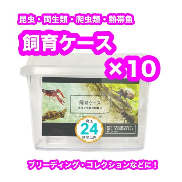 昆虫飼育ケース 10個セット 爬虫類 両生類 熱帯魚