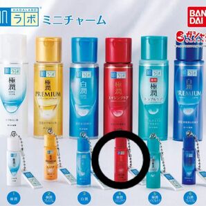 肌ラボ ミニチャーム