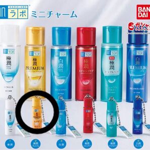肌ラボ ミニチャーム
