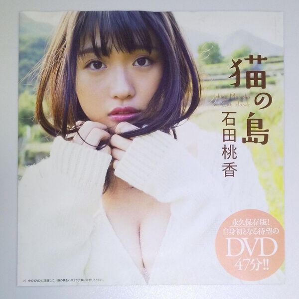 石田桃香 猫の島 週刊プレイボーイ 付録DVD