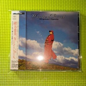 【緒方恵美】 WINTER BIRD セカンドアルバム 碇シンジ 声優