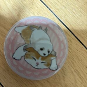 モフサンドmofusandプチキャン缶猫アザラシ