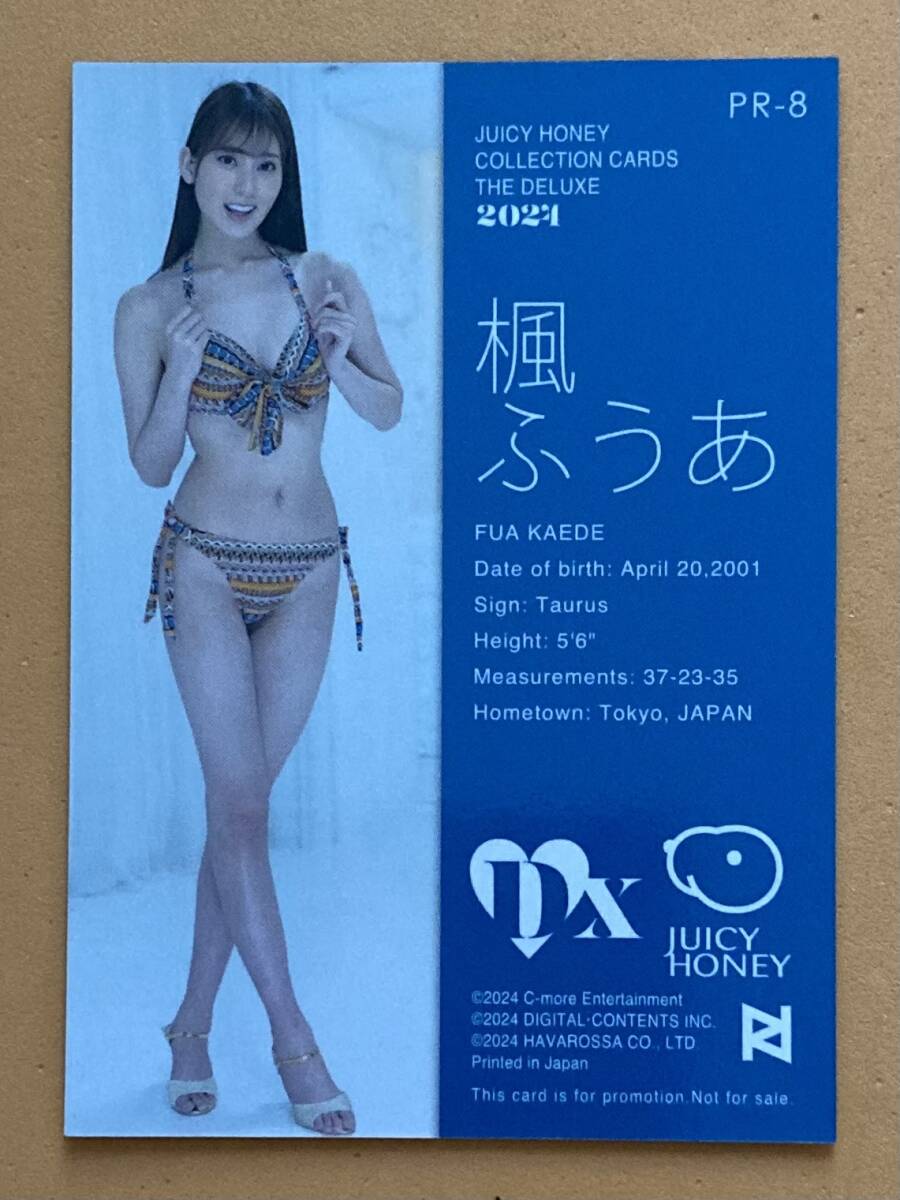 2025年最新】Yahoo!オークション -ジューシーハニー 2024 2025年最新】Yahoo!オークション -ジューシーハニー 2024