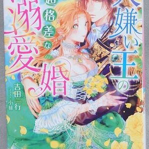 TL 人嫌い王の超格差な溺愛婚~奇跡の花嫁と秘蜜の部屋~