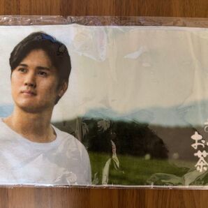 【大谷翔平選手】お〜いお茶オリジナルタオル(未開封)