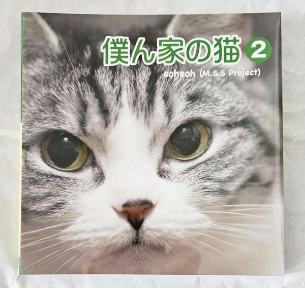 僕ん家の猫-2-写真集 新品未開封品 M.S.S PROJECT eoheoh