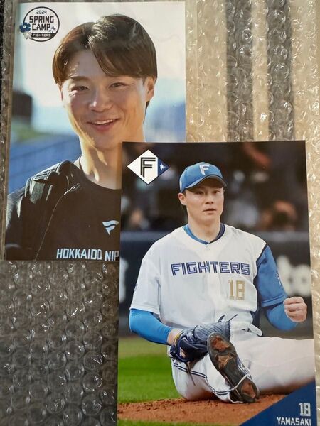 日本ハムファイターズ 山﨑福也 ハイライトフォト
