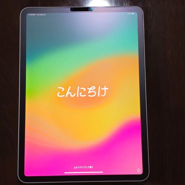 iPad Pro 11inch 第1世代 256GB Wi-Fi シルバー