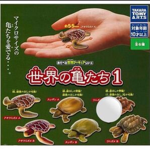 あそべる生物 フィギュア シリーズ 世界 の 亀たち 1 ☆5種