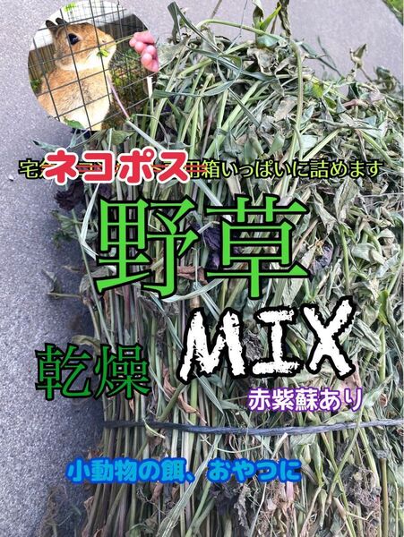 天然 無農薬 野草 乾燥 ミックス ネコポス専用箱いっぱいに詰めます 牧草