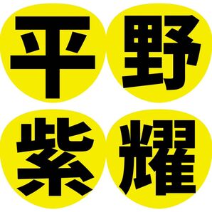 平野紫耀 うちわ文字 ファンサうちわ