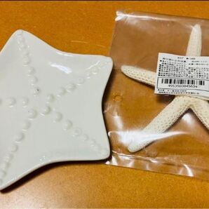 *インテリア小物 (ヒトデ) ※ 夏向けアクセサリーおまけ