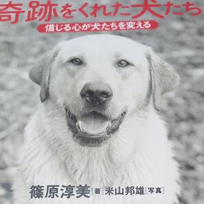 奇跡をくれた犬たち 信じる心が犬たちを変える 篠原淳美/著 米山邦雄/写真