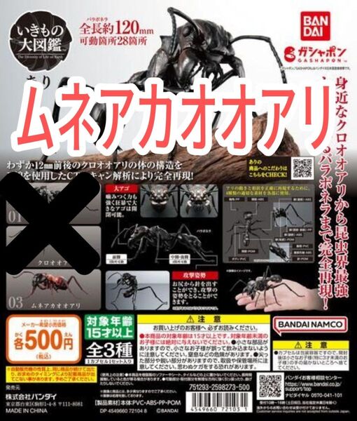 【新品】いきもの大図鑑 あり 蟻 いきもの図鑑 リアルフィギュア ムネアカオオアリ ガチャガチャ 昆虫 カプセルフィギュア ガチャ