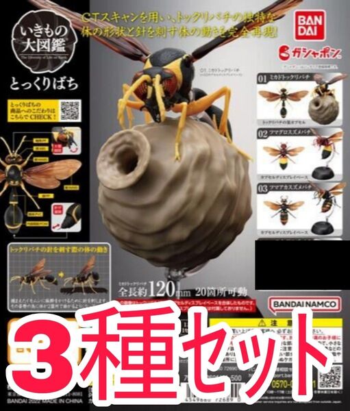 3種セット【新品未使用】いきもの大図鑑 とっくりばち スズメバチ 蜂 ハチ ガチャガチャ ガシャポン カプセルトイ フィギュア