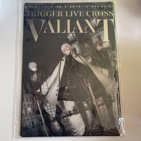 TRIGGER LIVE CROSS VALIANT パンフレット クリアファイル