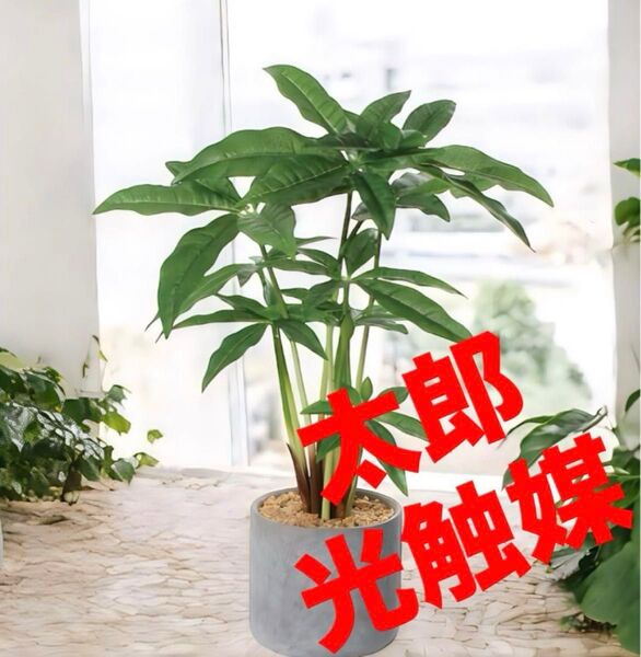 光触媒 人工観葉植物 ウォールグリーン フェイクグリーン パキラセメント@a