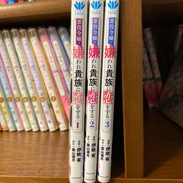 悪役令嬢は嫌われ貴族に恋をする