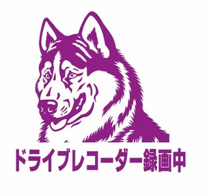 シベリアンハスキーのドライブレコーダー録画中のステッカーです。幅が約150ｍｍ！！