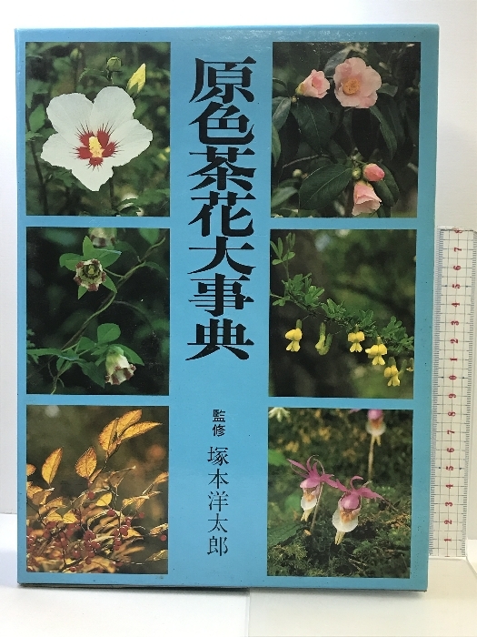 2025年最新】Yahoo!オークション -茶花大事典の中古品・新品・未