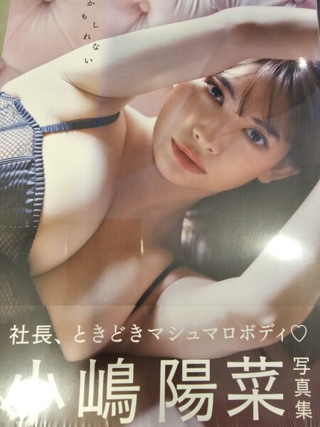 送料無料 新品未開封 シュリンク付き 小嶋陽菜 写真集 かもしれない