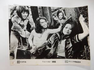 スチール写真1「不良少女 魔子」夏純子 太田美鈴 相川圭子 戸部夕子 藤竜也 宍戸錠 岡崎二朗 日活 ダイニチ  1971年