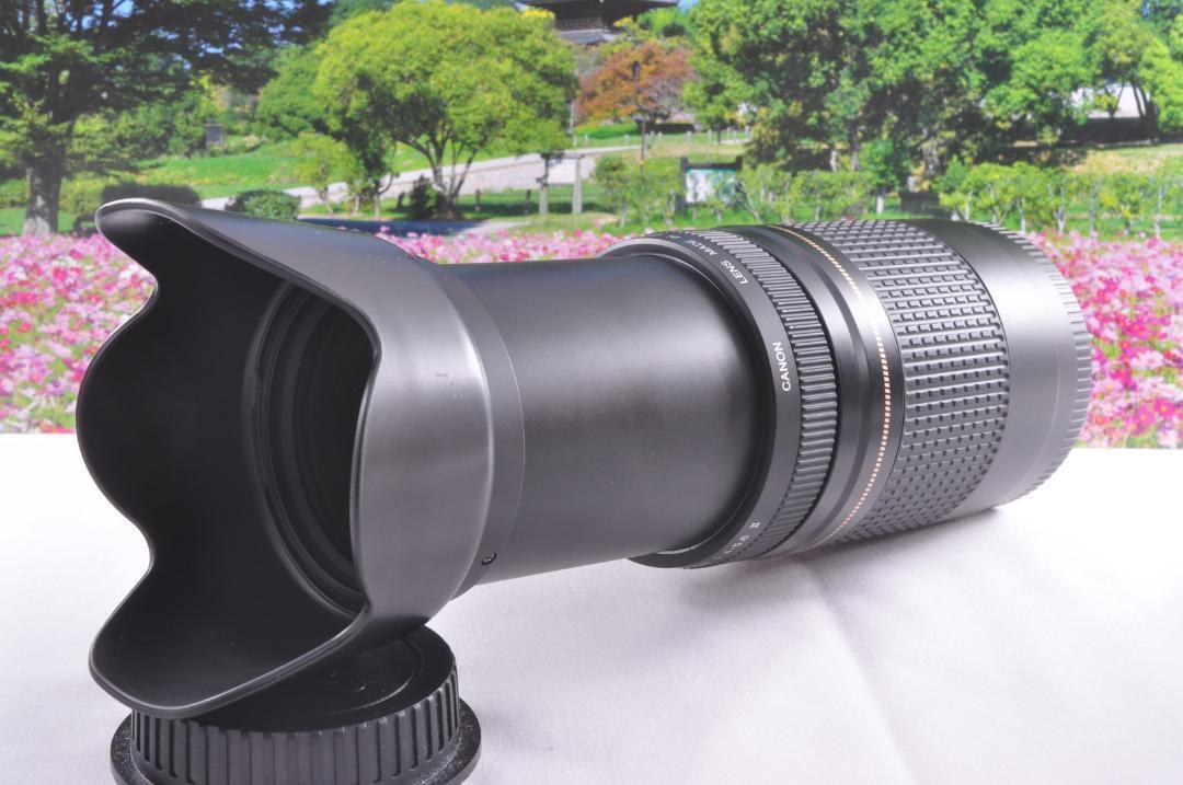 2025年最新】Yahoo!オークション -canon ef 90-300mmの中古品