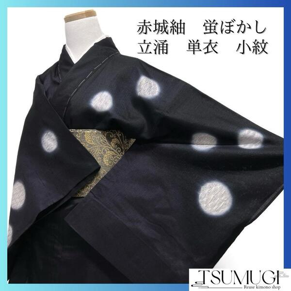 付け下げ 赤城紬 証紙付き 単衣 蛍ぼかし 立涌 草木染 着物 092w d