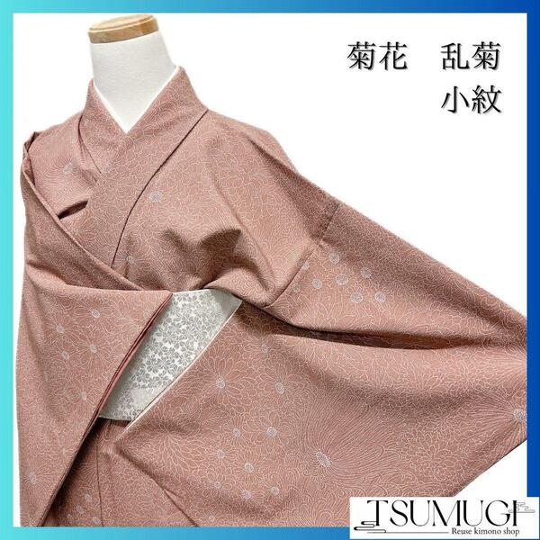 小紋 菊花 乱菊 くすみピンク 着物 091w p