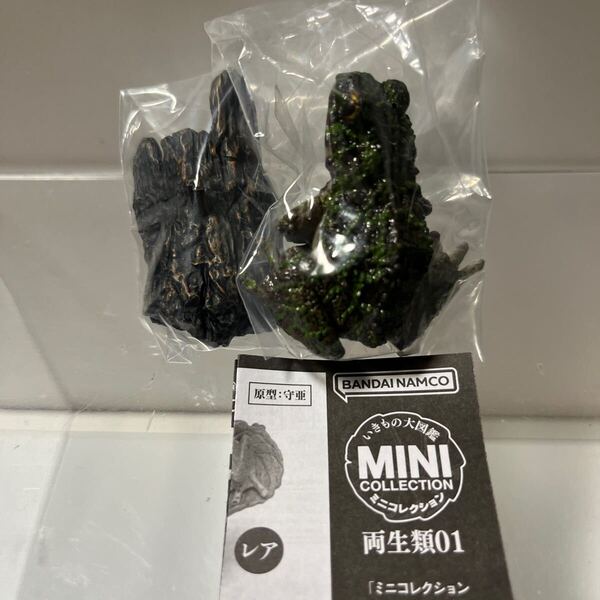 いきもの大図鑑ミニコレクション両生類01 オキナワイシカワガエル