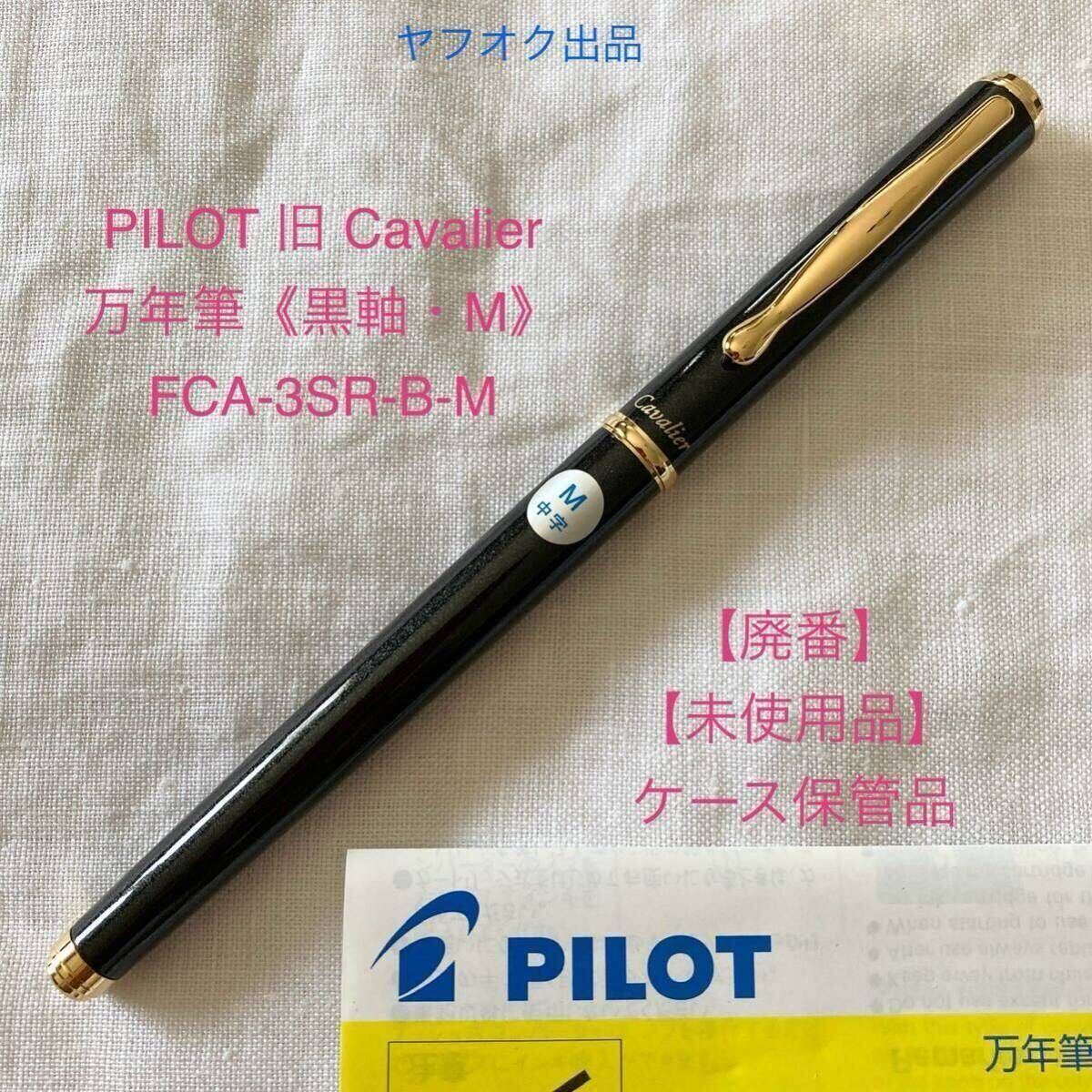 Yahoo!オークション -「(廃番)」(パイロット) (万年筆)の落札