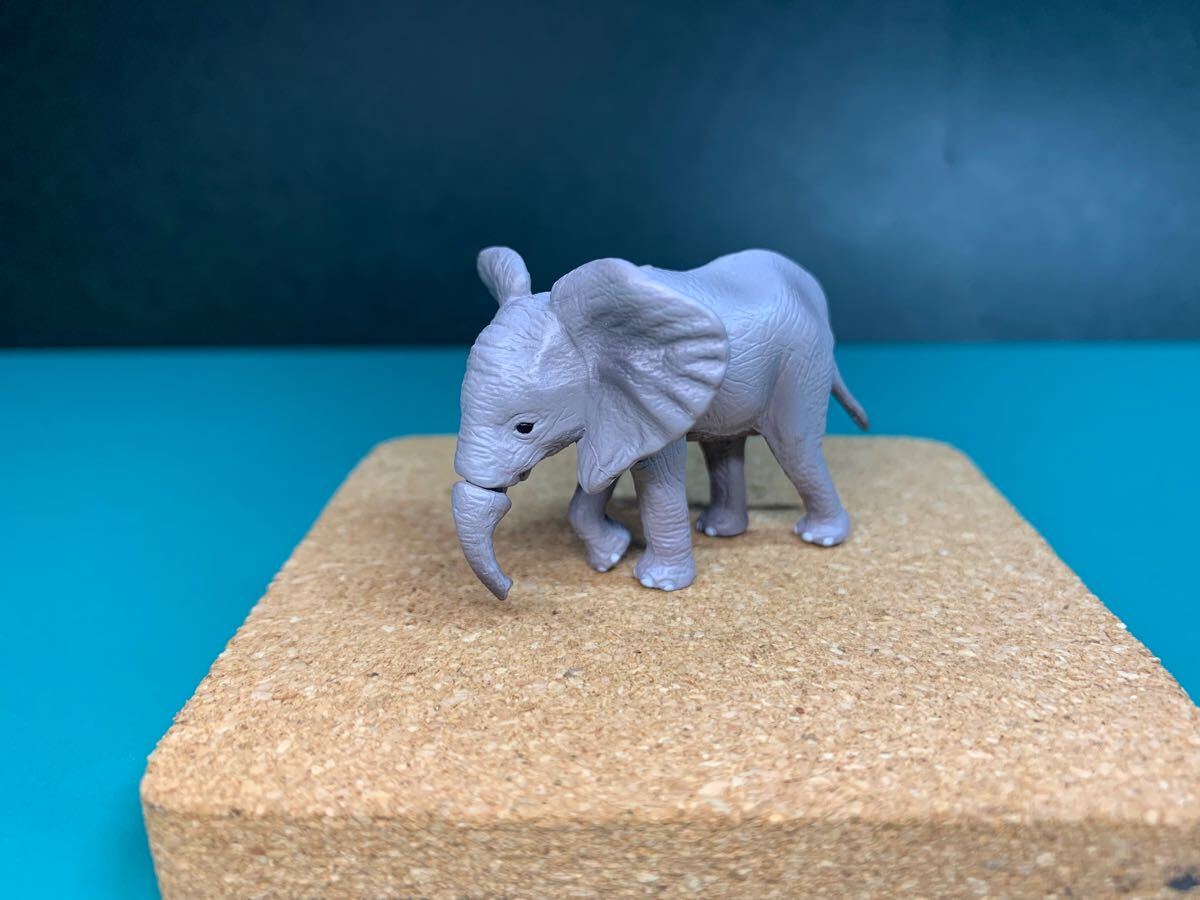 2025年最新】Yahoo!オークション -アフリカゾウ フィギュアの