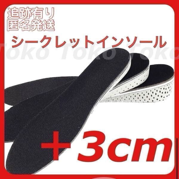 シークレットインソール 3cmアップ 中敷き 高身長 身長アップ フリーサイズ 男女兼用 フリーカット 脚長効果 美脚 スニーカー メンズ