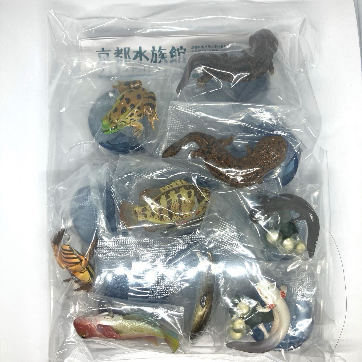 Yahoo!オークション -「京都水族館フィギュアコレクション Yahoo!オークション -「京都水族館フィギュアコレクション