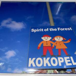 ★Spirit of the Forest KOKOPELLI CD サイン入り★