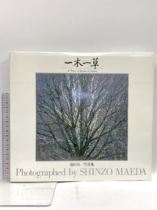 新製品情報も満載 2025年最新】Yahoo!オークション -前田真三 写真の中古品・新品 絵画/タペストリー