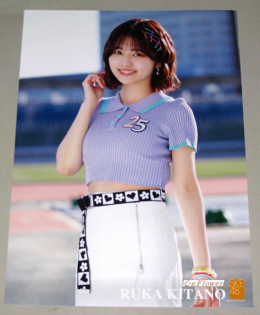新品未使用】北野瑠華 タペストリー(等身大サイズ)／ポスター 座