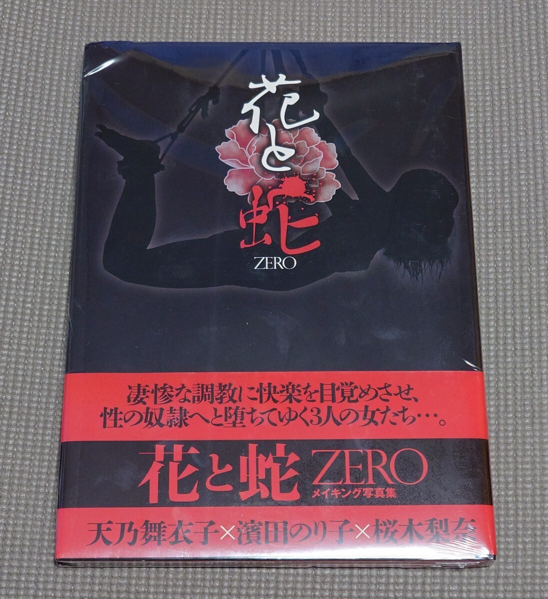 Yahoo!オークション -「天乃舞衣子」(写真集) (本)の落札相場 Yahoo!オークション -「天乃舞衣子」(写真集) (本)の落札相場