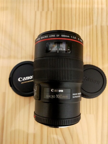 ★実用品★ Canon キャノン MACRO LENS EF100mm F2.8L IS USM