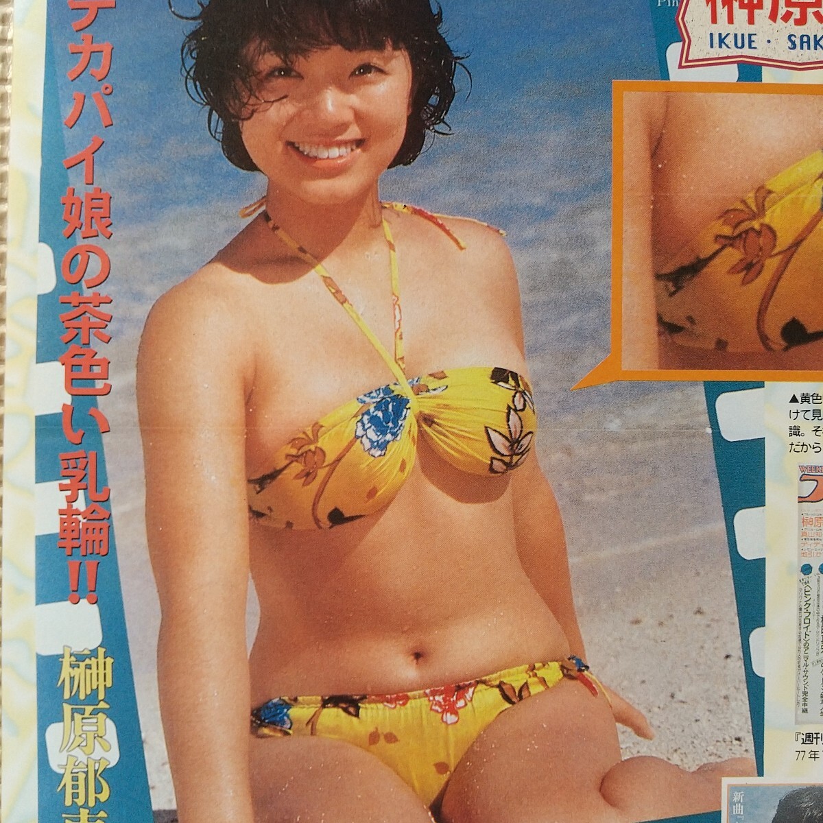 Yahoo!オークション - 105.5×37㎝ 昭和55年 水着 山口百恵/榊原