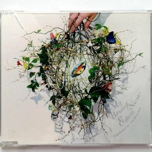 山田タマル My Brand New Eden (CD)