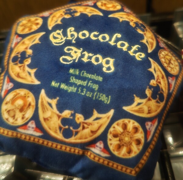 USJ ハリーポッター ハニーデュークス カエルチョコレート 蛙チョコ パスケース
