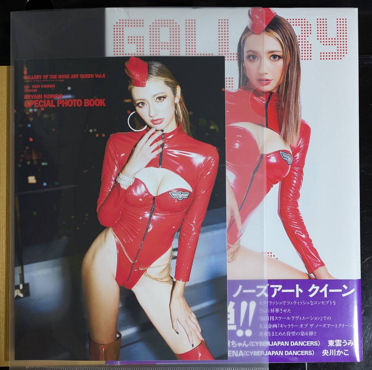 Yahoo!オークション -「ノーズアートクイーン」(写真集) (アート、エンターテインメント)の落札相場・落札価格 Yahoo!オークション -「ノーズアートクイーン」(写真集) (アート、エンターテインメント)の落札相場・落札価格
