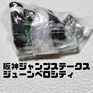 【競馬】アイドルホース ミニコレクション キーホルダー ストラップ G3 阪神ジャンプステークス ジューンベロシティ