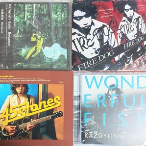 斉藤和義 CD 4枚セット (Because, Fire Dog, アルバム