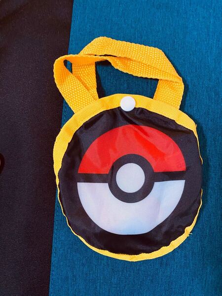 【表面】モンスターボール【裏面】ヒトカゲのミニバッグ 小物入れ ポケモン ポケットモンスター 匿名配送 送料無料