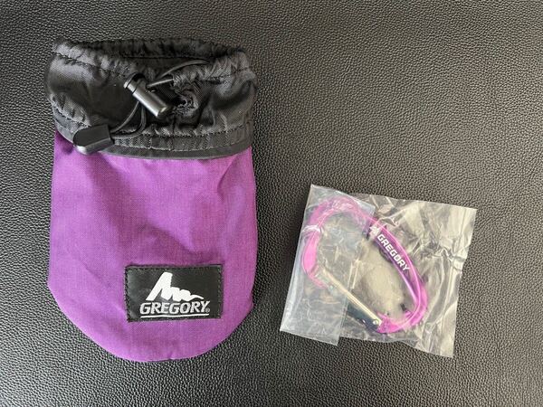 極美品 GREGORY ペットボトルホルダーとカラビナセット