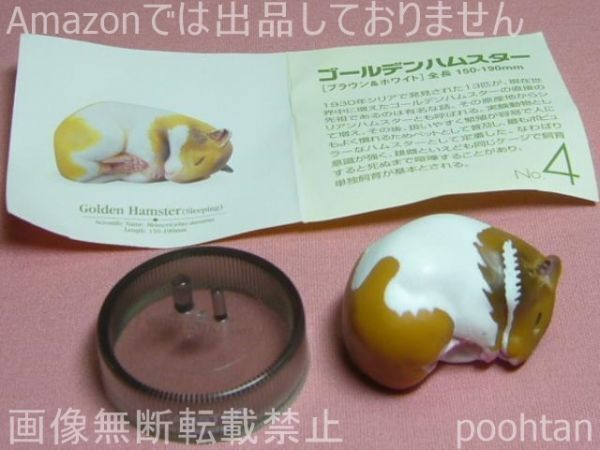 2025年最新】Yahoo!オークション -海洋堂・ハムスターズランチ