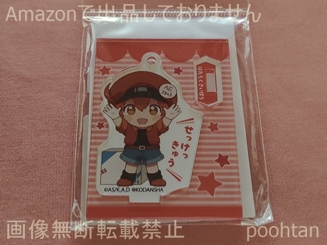 Amazon.co.jp: はたらく細胞 アクリル 万年カレンダー 内部